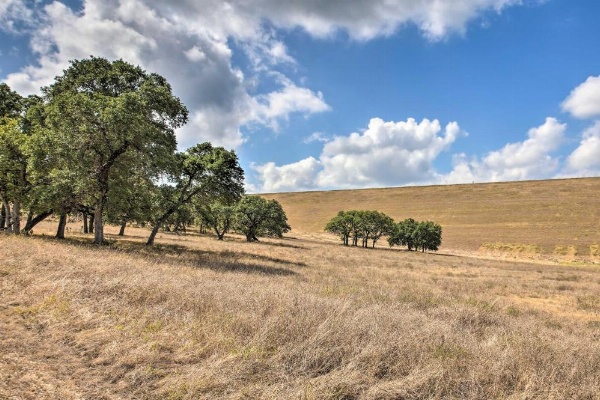 Canyon Lake Cottage with BBQ 1 Mi to Guadalupe River! image 24